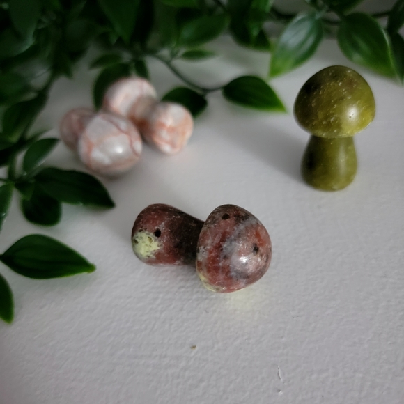 Mini mushrooms - Picture 6 of 10